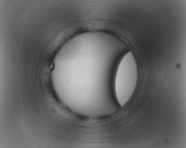 X0000116790604200912181056