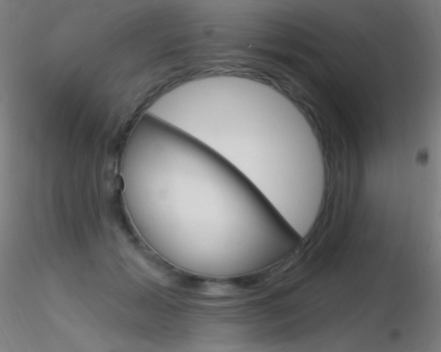 X0000116790605200912181056