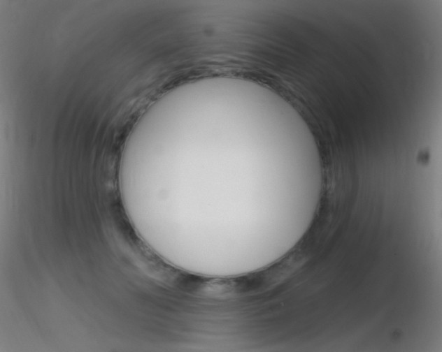 X0000116790606200912181056