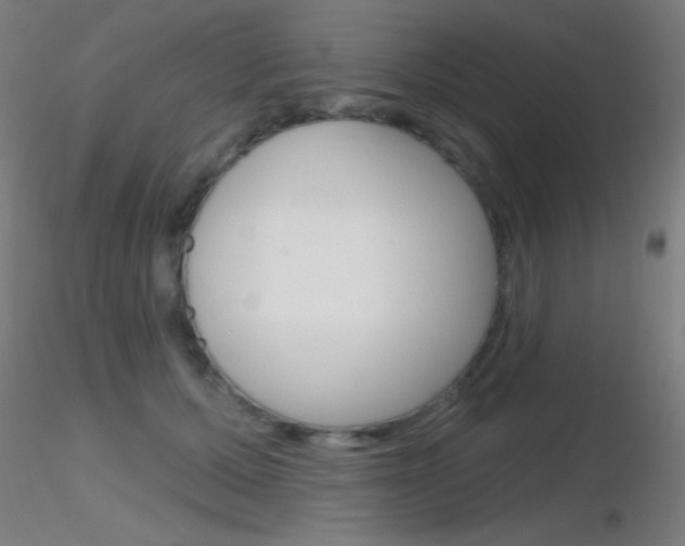X0000116790607200912181056