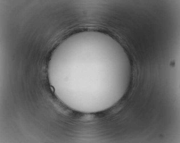 X0000116790609200912181056