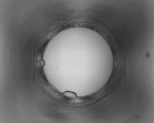 X0000116790610200912181056