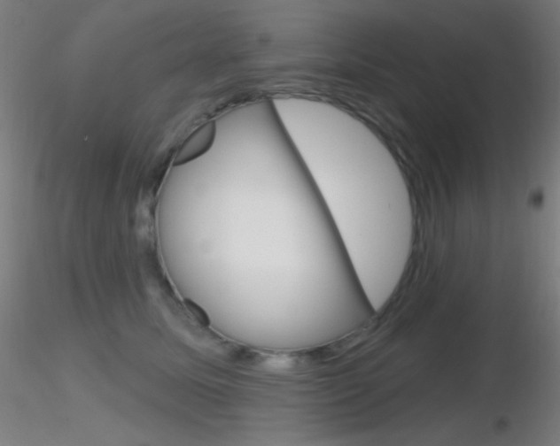 X0000116790611200912181056