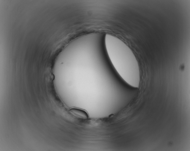 X0000116790612200912181056