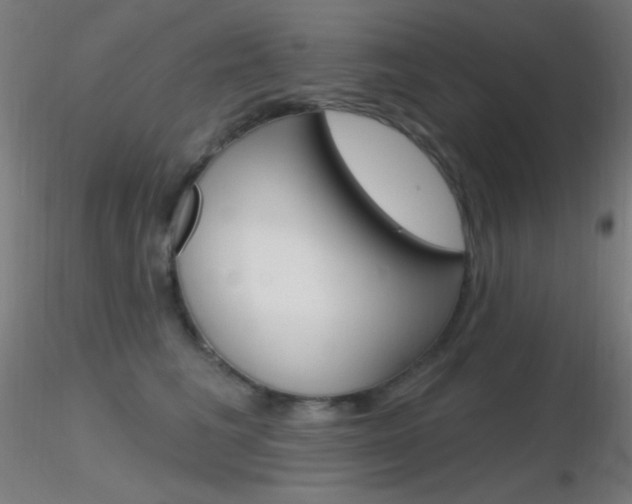 X0000116790613200912181056