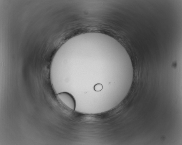 X0000116790614200912181056