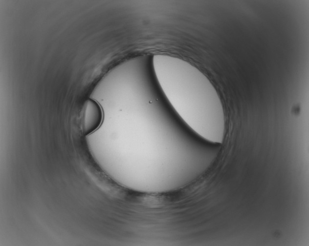 X0000116790615200912181056