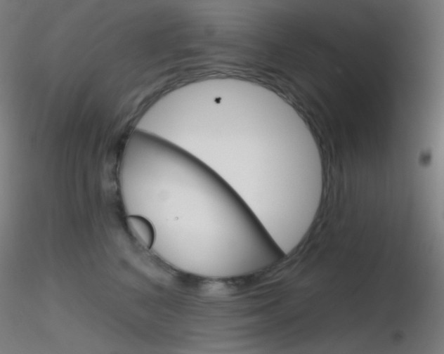 X0000116790616200912181056