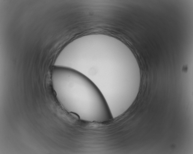 X0000116790617200912181056