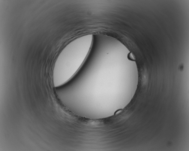 X0000116790619200912181056