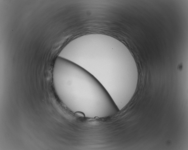 X0000116790620200912181056