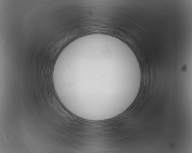 X0000116790621200912181056