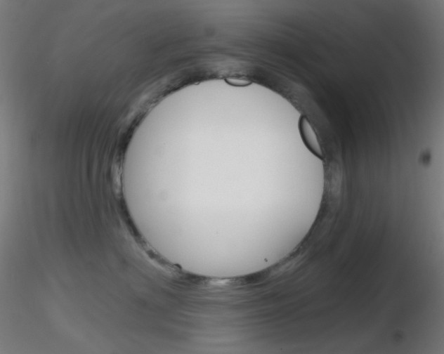 X0000116790622200912181056