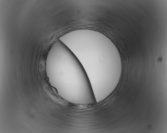 X0000116790623200912181056