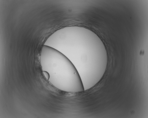 X0000116790624200912181056