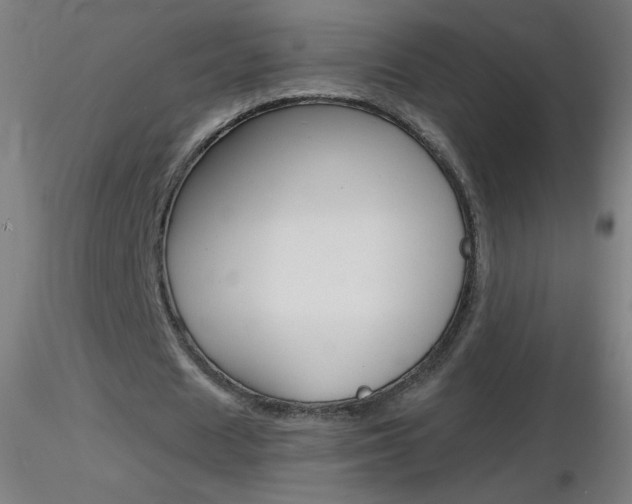 X0000116790625200912181055