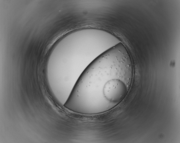 X0000116790626200912181055