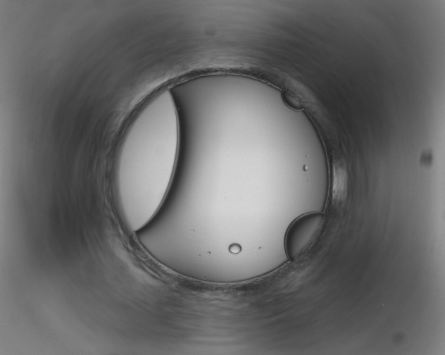 X0000116790627200912181055