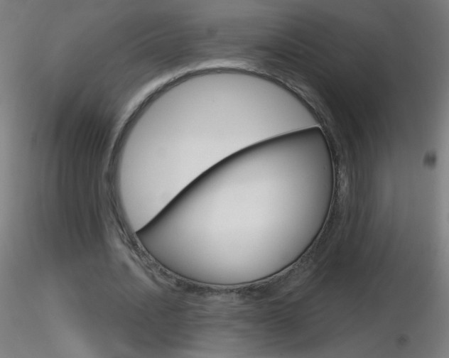 X0000116790628200912181055