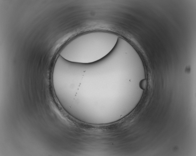 X0000116790629200912181055