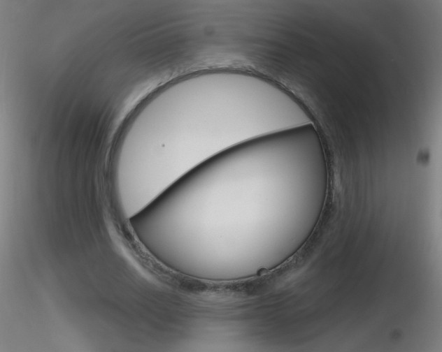 X0000116790630200912181055