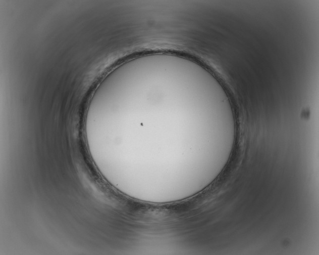 X0000116790631200912181055