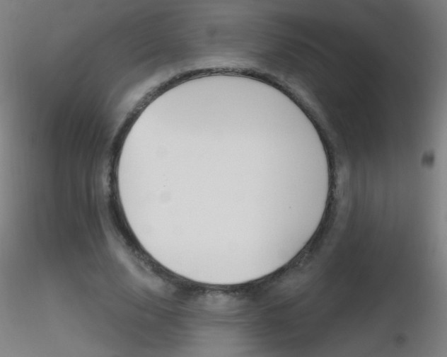 X0000116790632200912181055