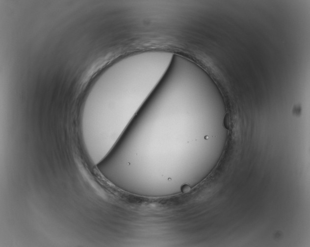 X0000116790634200912181055