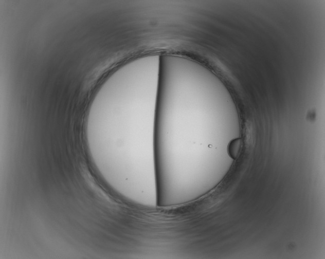 X0000116790637200912181055