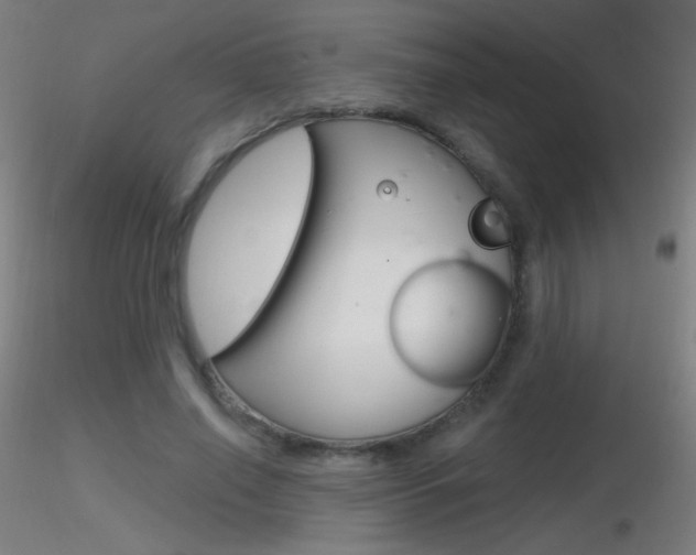 X0000116790638200912181055