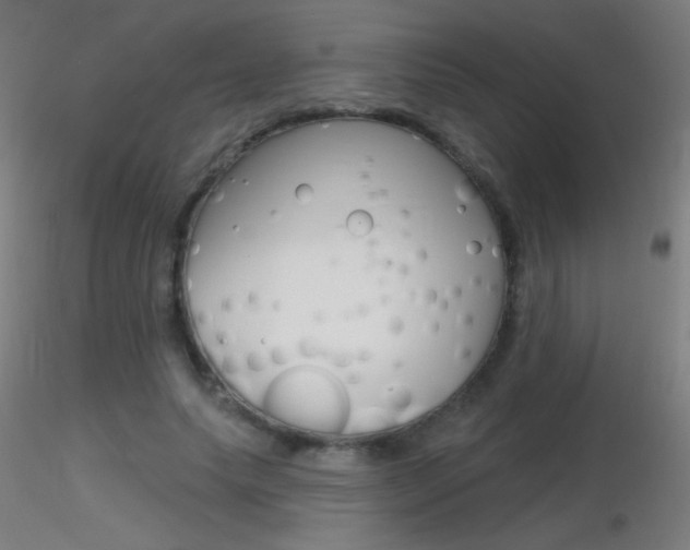 X0000116790639200912181055