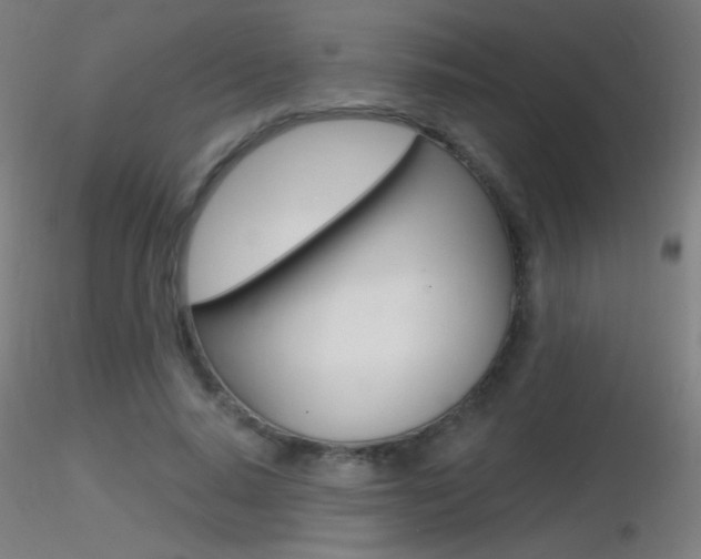 X0000116790640200912181055
