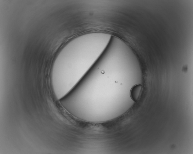 X0000116790642200912181055
