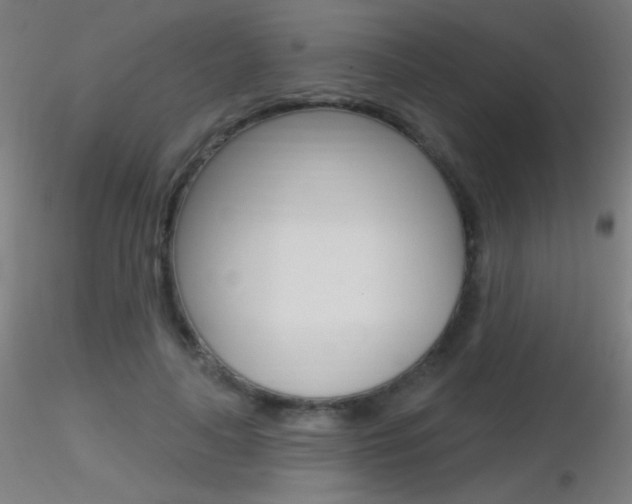 X0000116790643200912181055