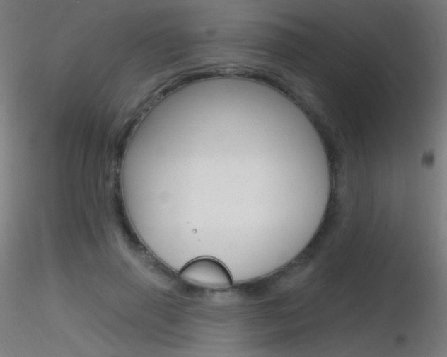 X0000116790645200912181055