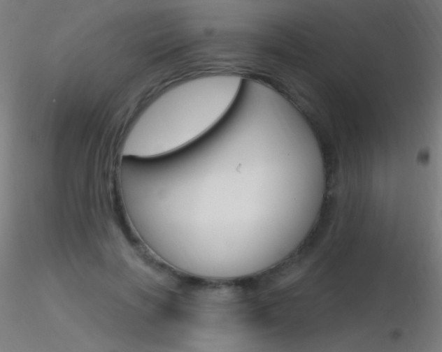 X0000116790646200912181055