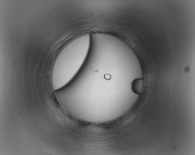 X0000116790648200912181055