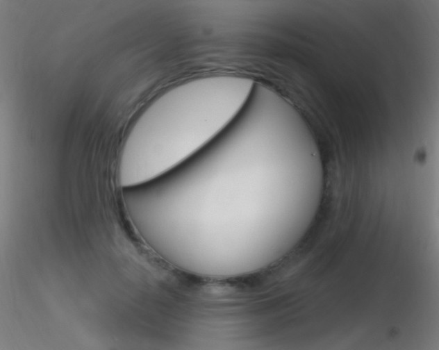 X0000116790650200912181055