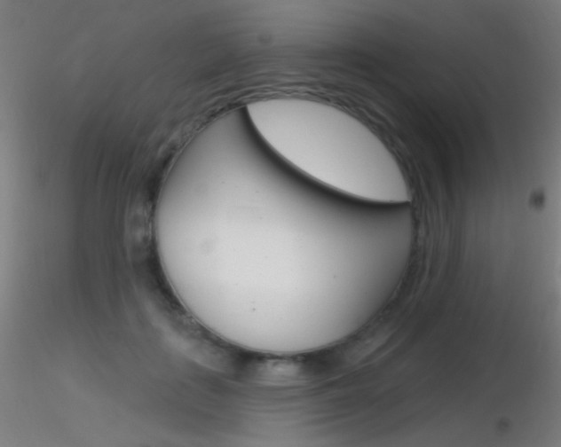 X0000116790651200912181056