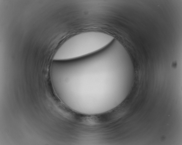X0000116790652200912181056