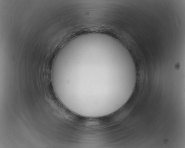 X0000116790653200912181056