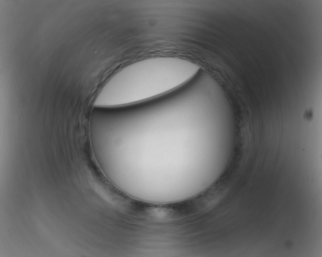 X0000116790654200912181056