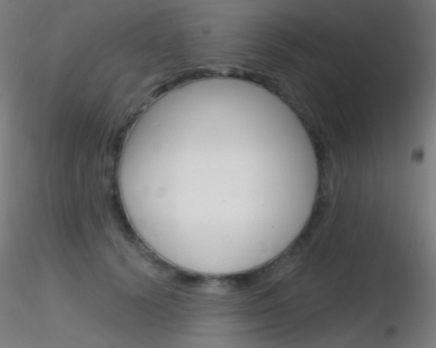 X0000116790656200912181056