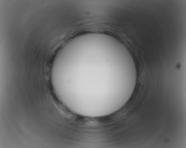 X0000116790658200912181056