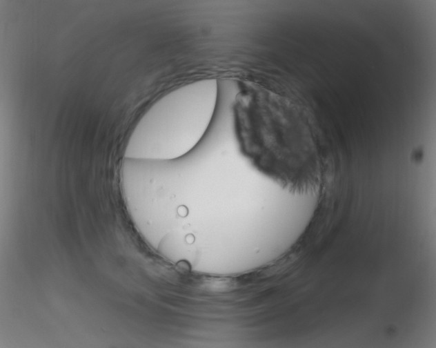 X0000116790659200912181056