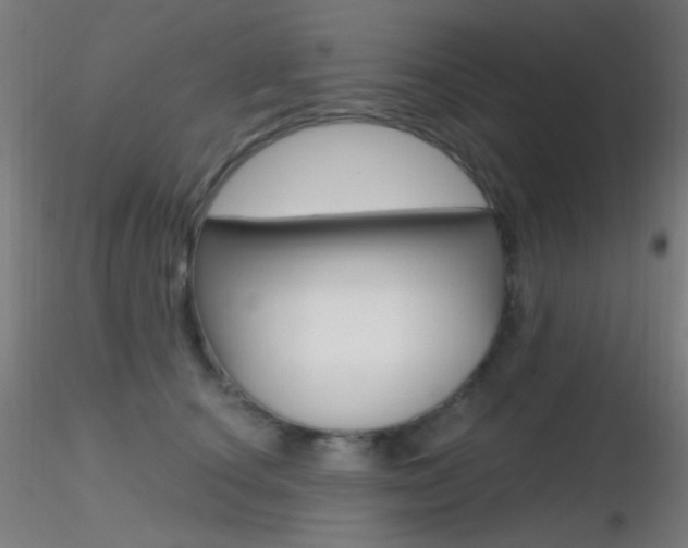 X0000116790660200912181056