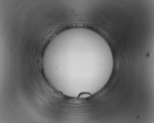 X0000116790661200912181056