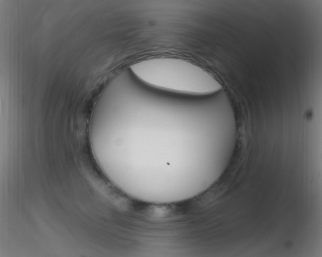 X0000116790662200912181056