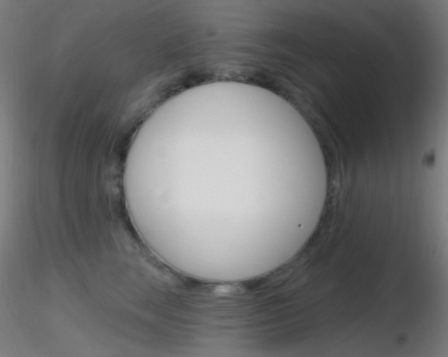 X0000116790663200912181056