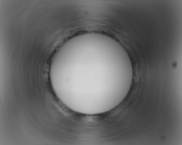 X0000116790664200912181056